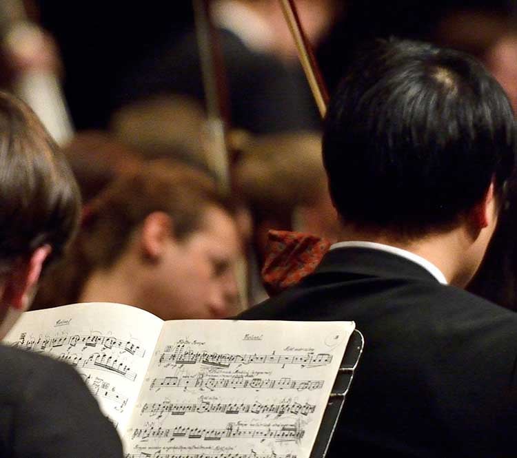 More Info for Concert Orchestra: Night at the Opera