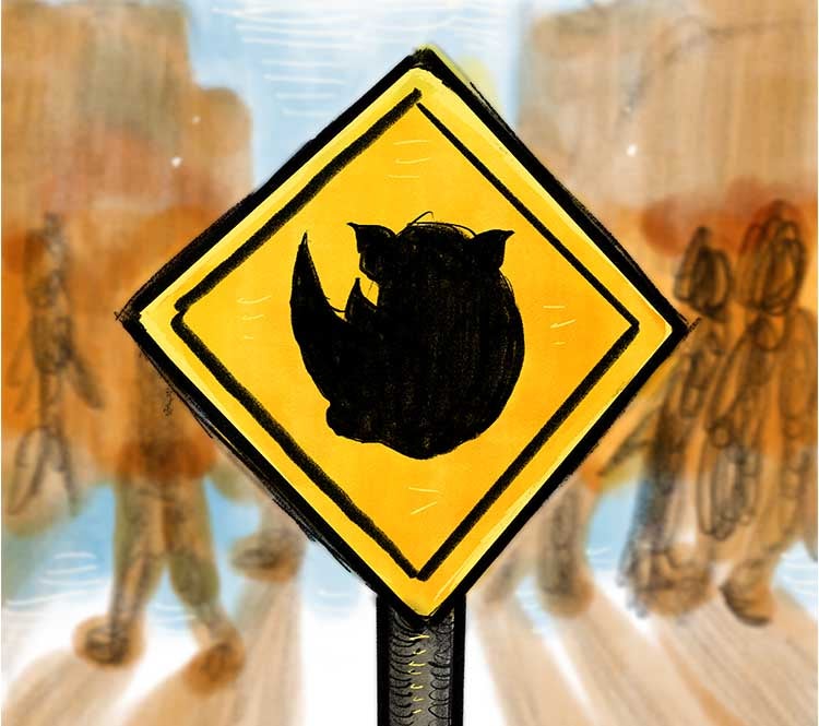 More Info for Rhinoceros